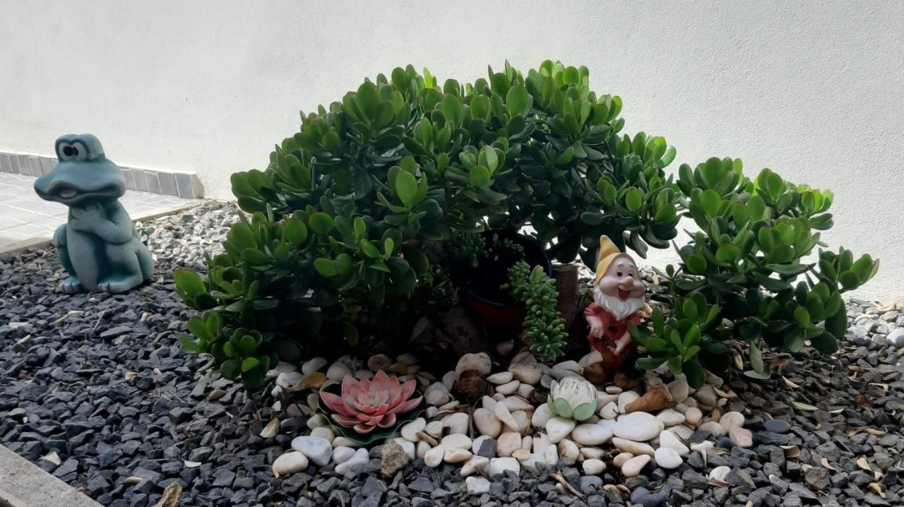 Casa D' Avo Zeza Daire Jardim do Mar Dış mekan fotoğraf