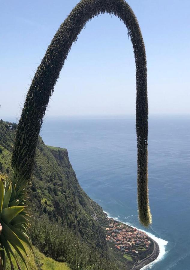 Casa D' Avo Zeza Daire Jardim do Mar Dış mekan fotoğraf