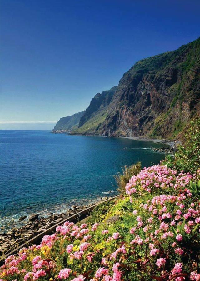 Casa D' Avo Zeza Daire Jardim do Mar Dış mekan fotoğraf